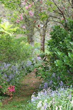 A photo of one of the lovely gardens of Mt Wilson
