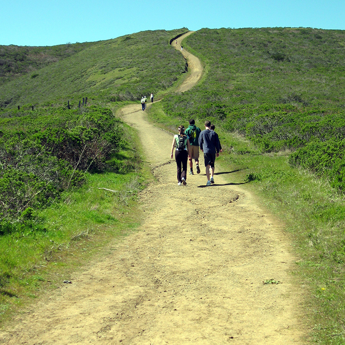 Mercy...Our Pilgrimage of Hope