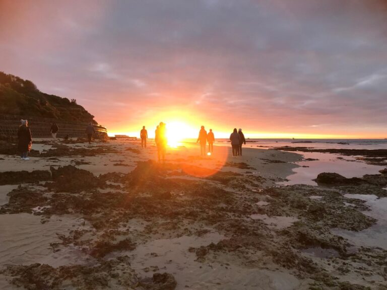 Integral Ecology Leadership