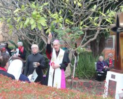 Part of the Mercy Day celebrations was the blessing, by Emeritus Archbishop Barry James Hickey, of the Bronze Mercy Cross on the site where a number of the early Sisters are buried.