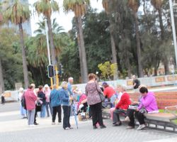 Praying and reflecting in the Supreme Court Gardens.
What conversations do you think would have taken place amongst the Sisters as the walk through the Australian bush?