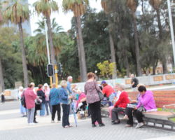 Praying and reflecting in the Supreme Court Gardens.
What conversations do you think would have taken place amongst the Sisters as the walk through the Australian bush?